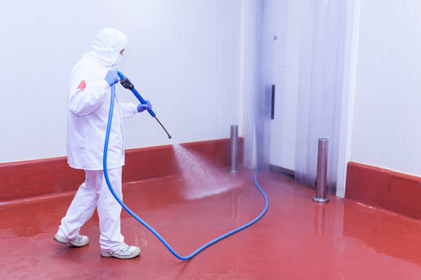 Best Patio and Deck Pressure Washing  in Russells Point, OH